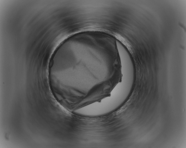 X0000091171334200709060926