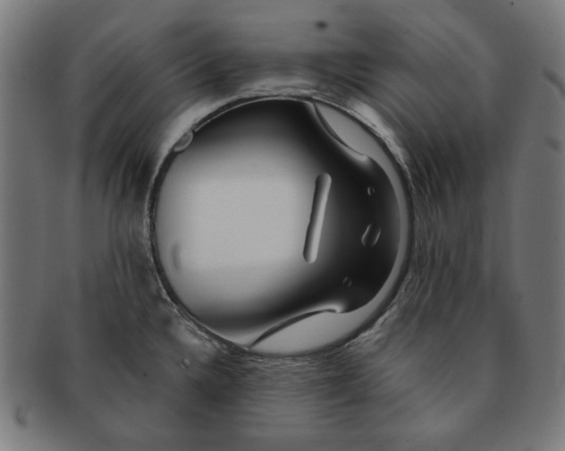 X0000091171336200709060926