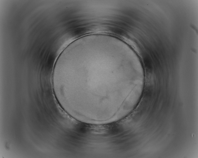 X0000091171338200709060926