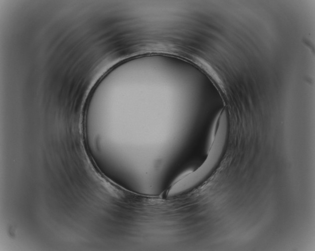 X0000091171339200709060926