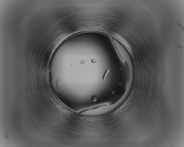 X0000091171340200709060926