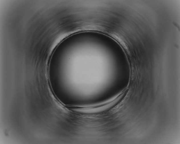 X0000091171342200709060926