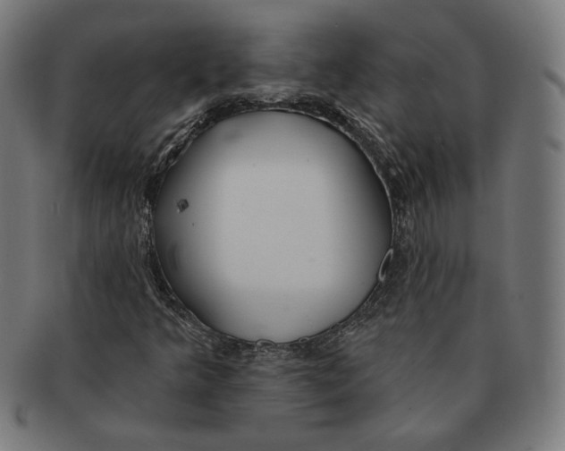 X0000091171349200709060925