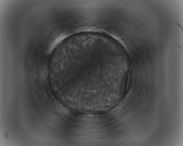 X0000091171359200709060925