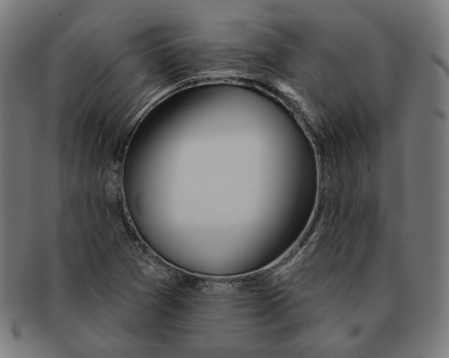 X0000091171361200709060925