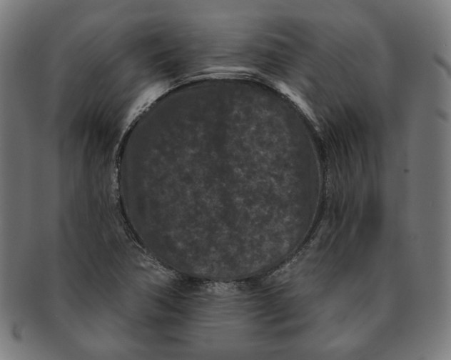 X0000091171362200709060925