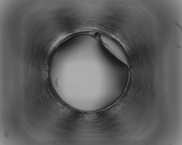 X0000091171363200709060925