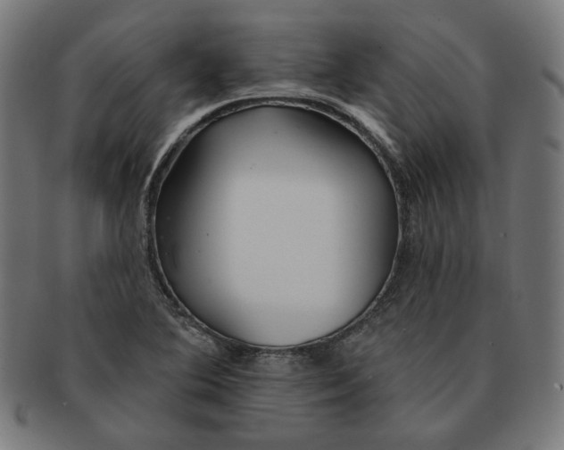 X0000091171364200709060925