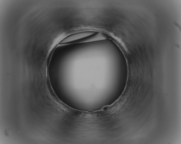 X0000091171365200709060925