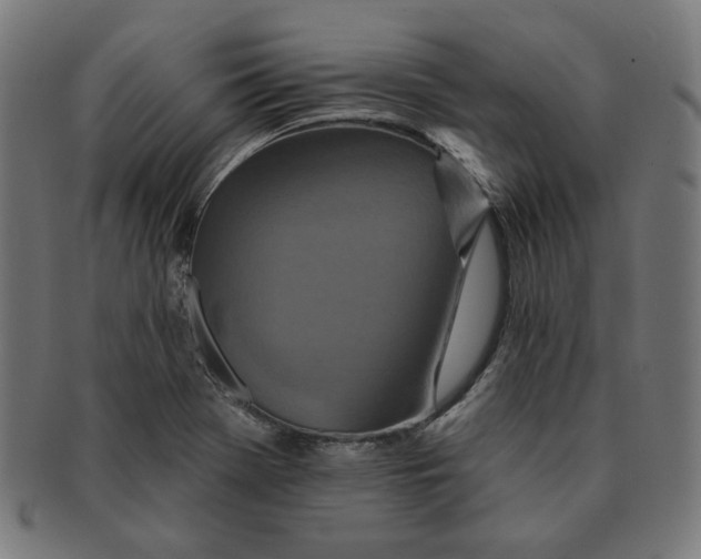 X0000091171369200709060925