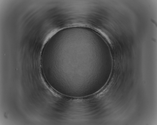 X0000091171373200709060925