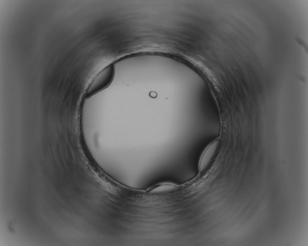 X0000091171375200709060925