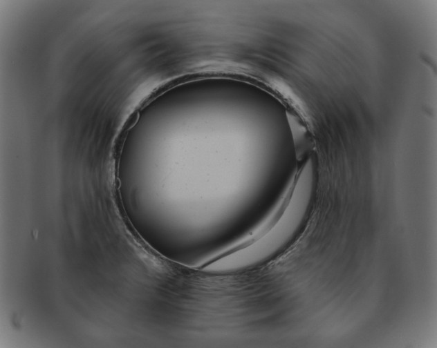 X0000091171376200709060925