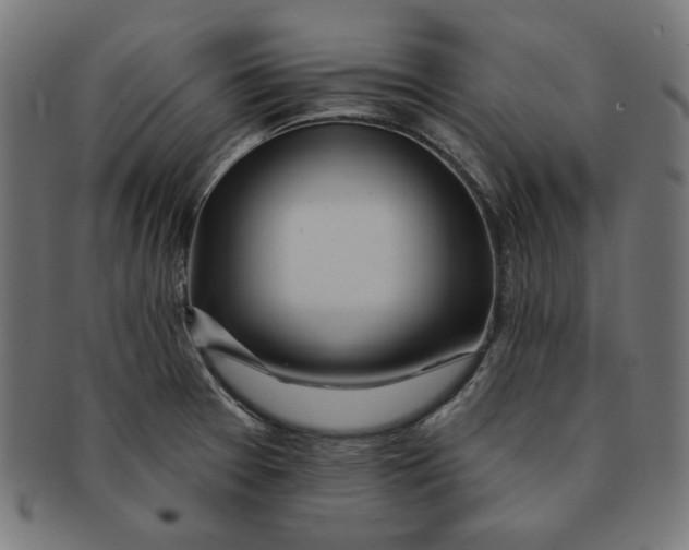 X0000091171377200709060925