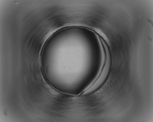 X0000091171380200709060925