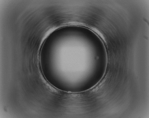 X0000091171381200709060925