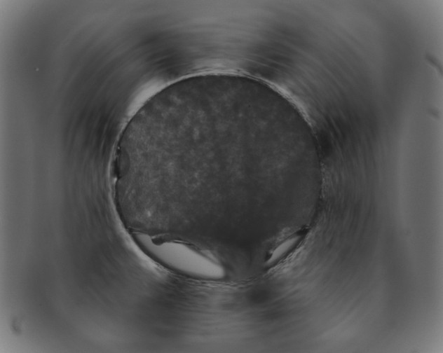 X0000091171383200709060925