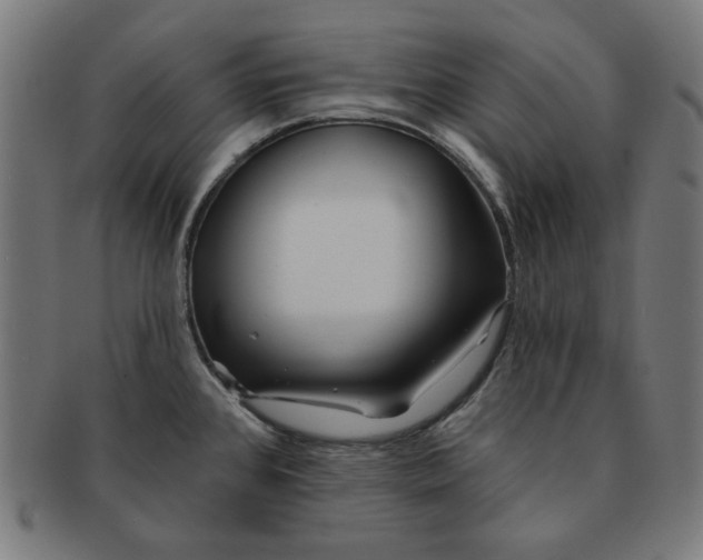 X0000091171384200709060925