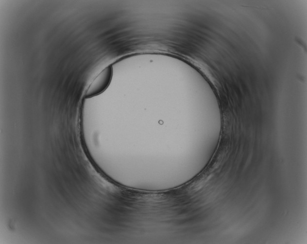 X0000091171387200709060924