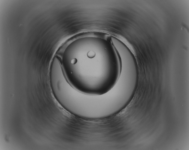 X0000091171388200709060924