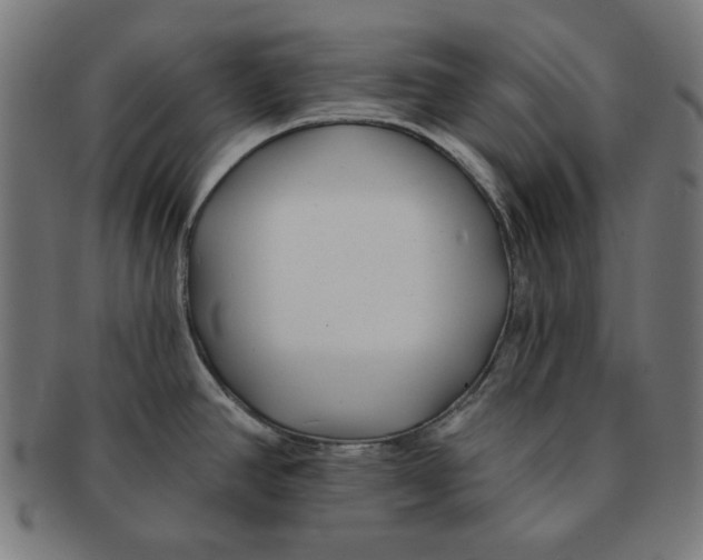 X0000091171390200709060924