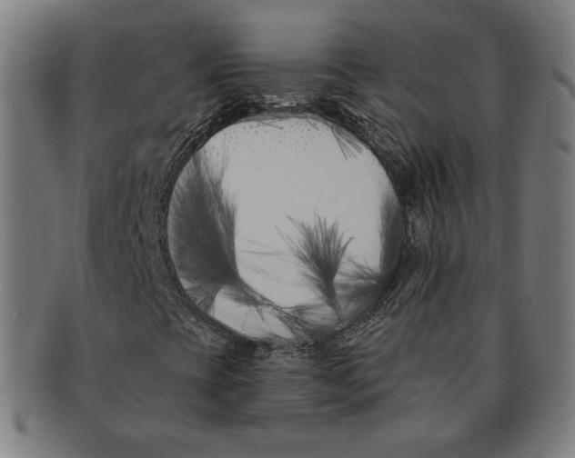 X0000091171393200709060924