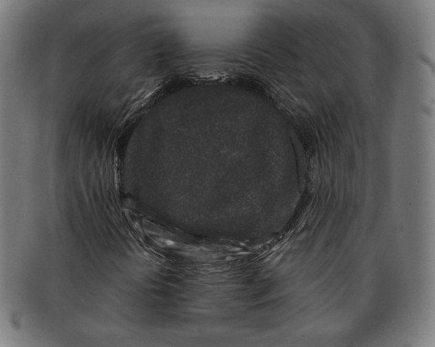 X0000091171394200709060924