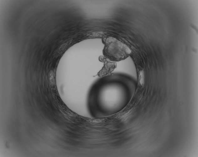 X0000091171395200709060924