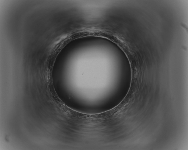 X0000091171398200709060924