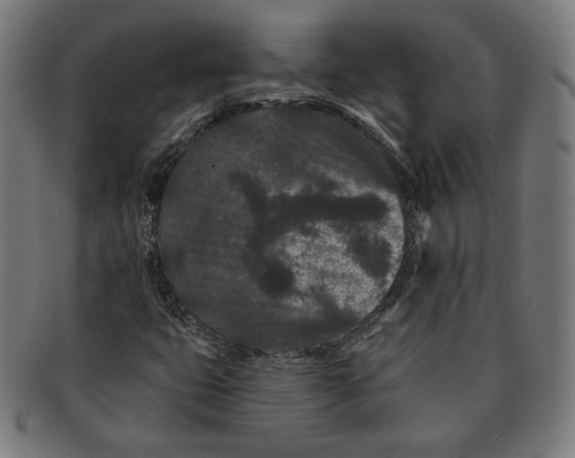 X0000091171399200709060924