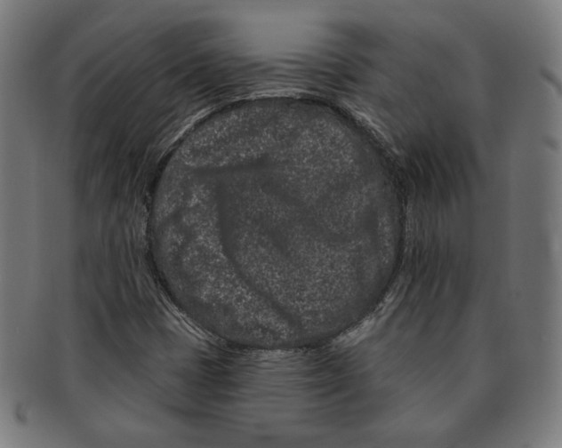 X0000091171401200709060924