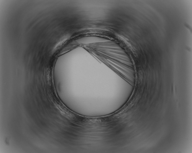 X0000091171403200709060924