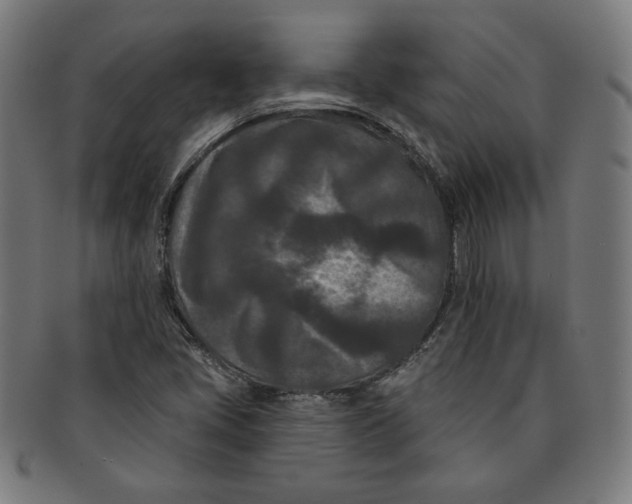 X0000091171405200709060924