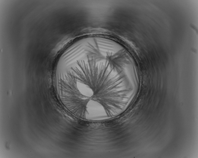 X0000091171407200709060924