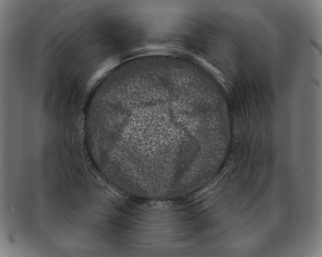 X0000091171411200709060924