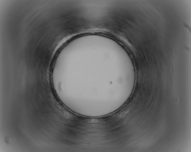 X0000091171412200709060924