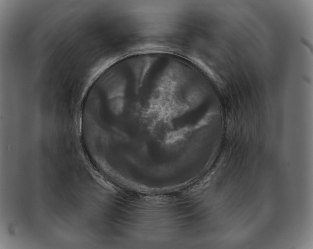 X0000091171413200709060924