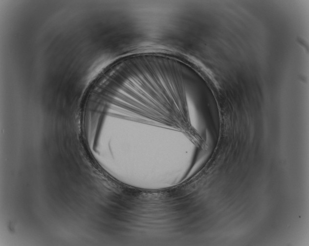 X0000091171415200709060924