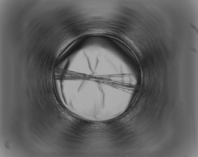 X0000091171417200709060924
