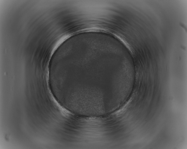 X0000091171418200709060924