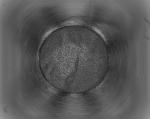 X0000091171419200709060924