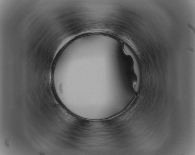 X0000091171420200709060924