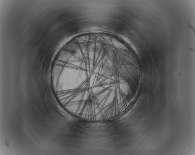 X0000091171421200709060924
