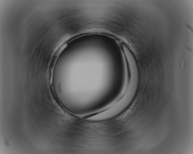 X0000091171422200709060924