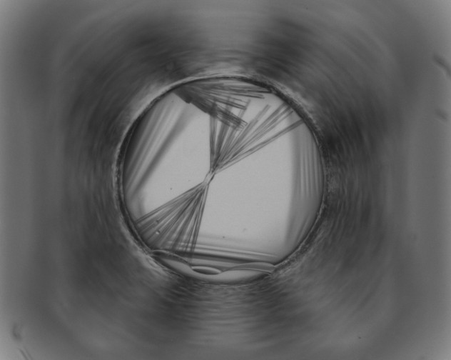 X0000091171423200709060924