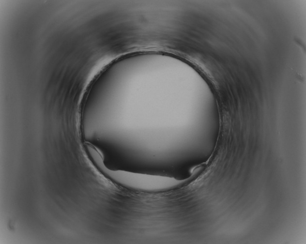 X0000091171424200709060924