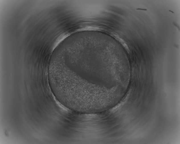 X0000091171425200709060924