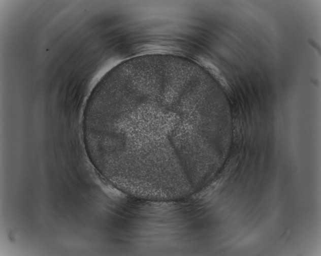 X0000091171427200709060924