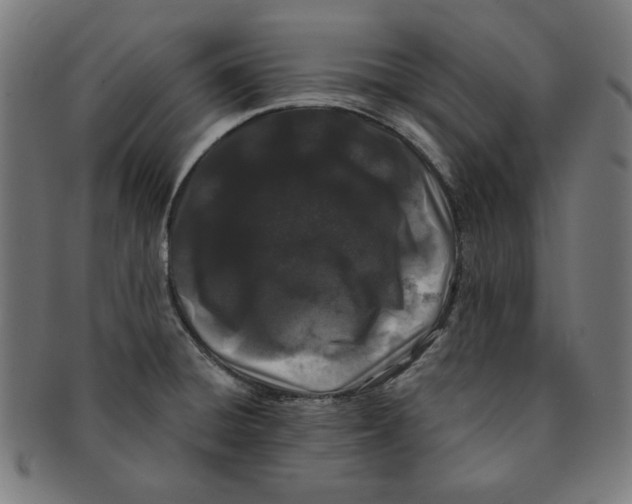 X0000091171428200709060924