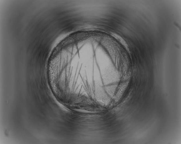 X0000091171429200709060924
